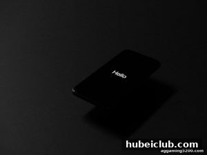 AG真人 hubeiclub