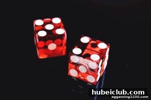 AG真人 hubeiclub